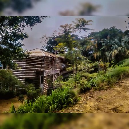 Jungle Tree House Rangala Acomodação com café da manhã Kandy Exterior foto