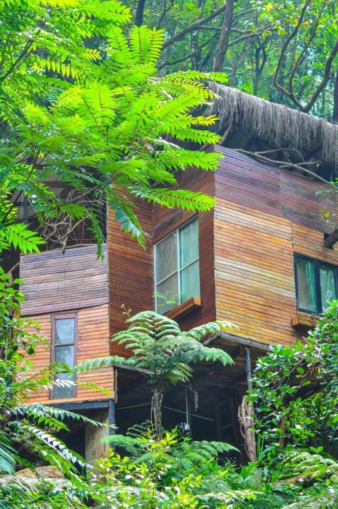 Jungle Tree House Rangala Acomodação com café da manhã Kandy Exterior foto