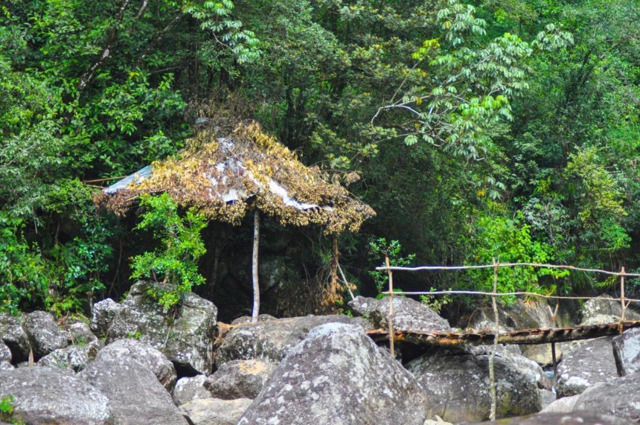 Jungle Tree House Rangala Acomodação com café da manhã Kandy Exterior foto